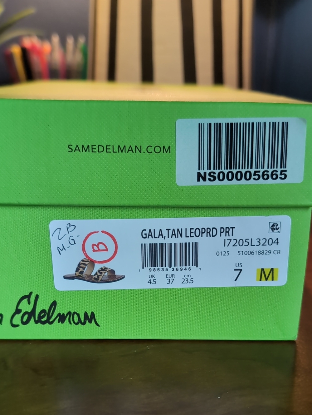 Sam Edelman Leopard Print Slide Sandals in Black and Brown - Picture 2 of 2